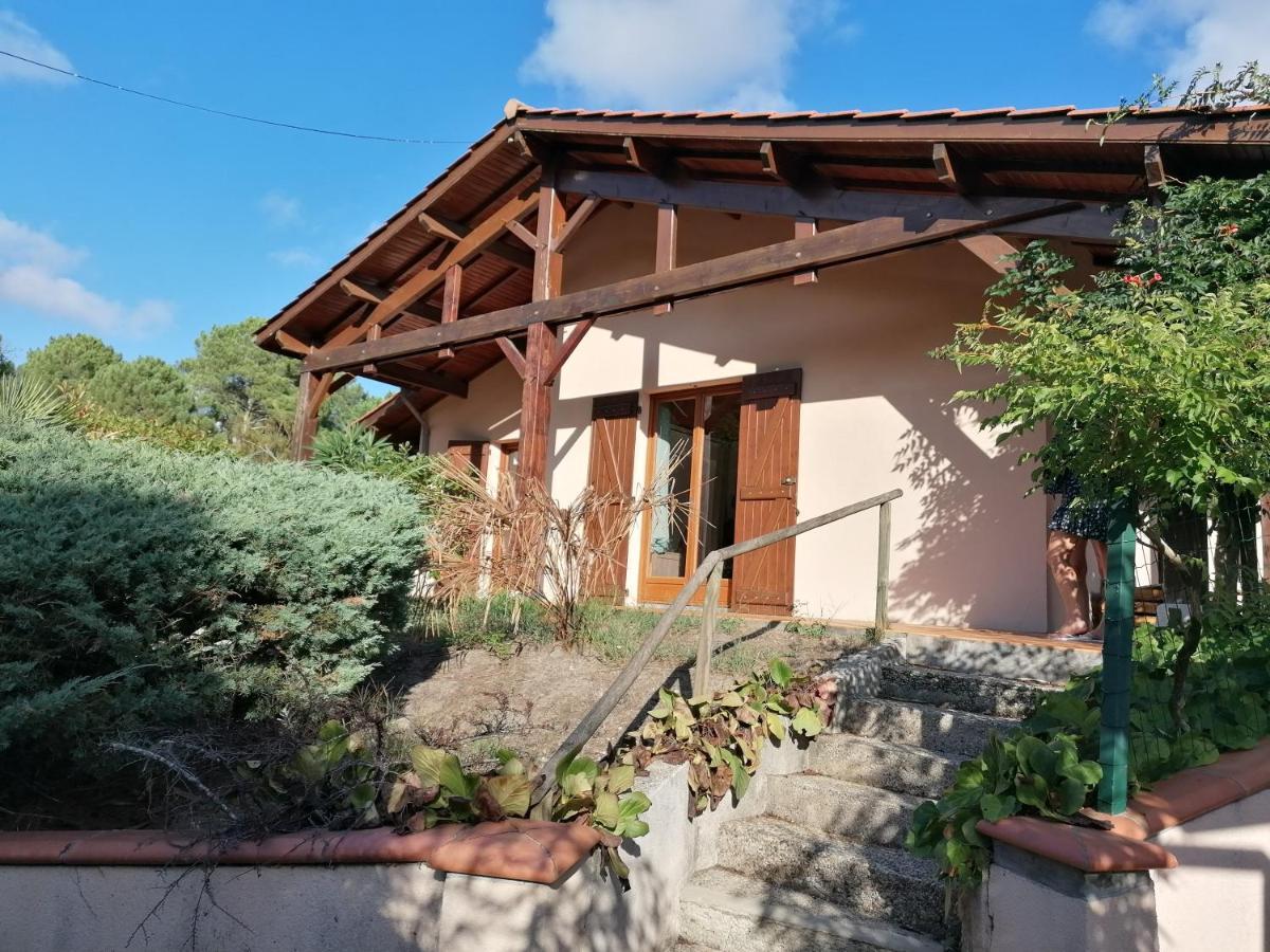 Maison Au Dessus Du Lac De Biscarrosse Exterior photo